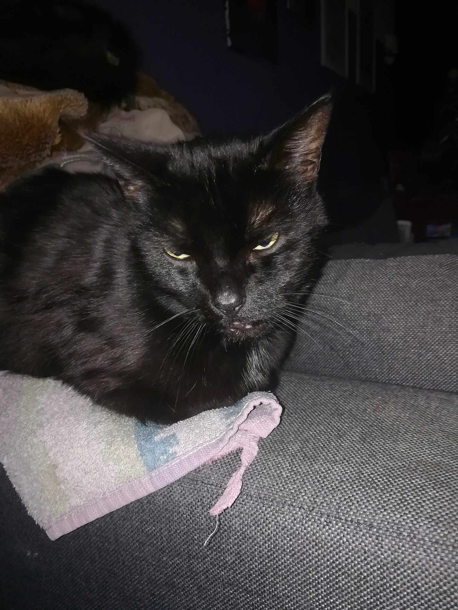 Sirius