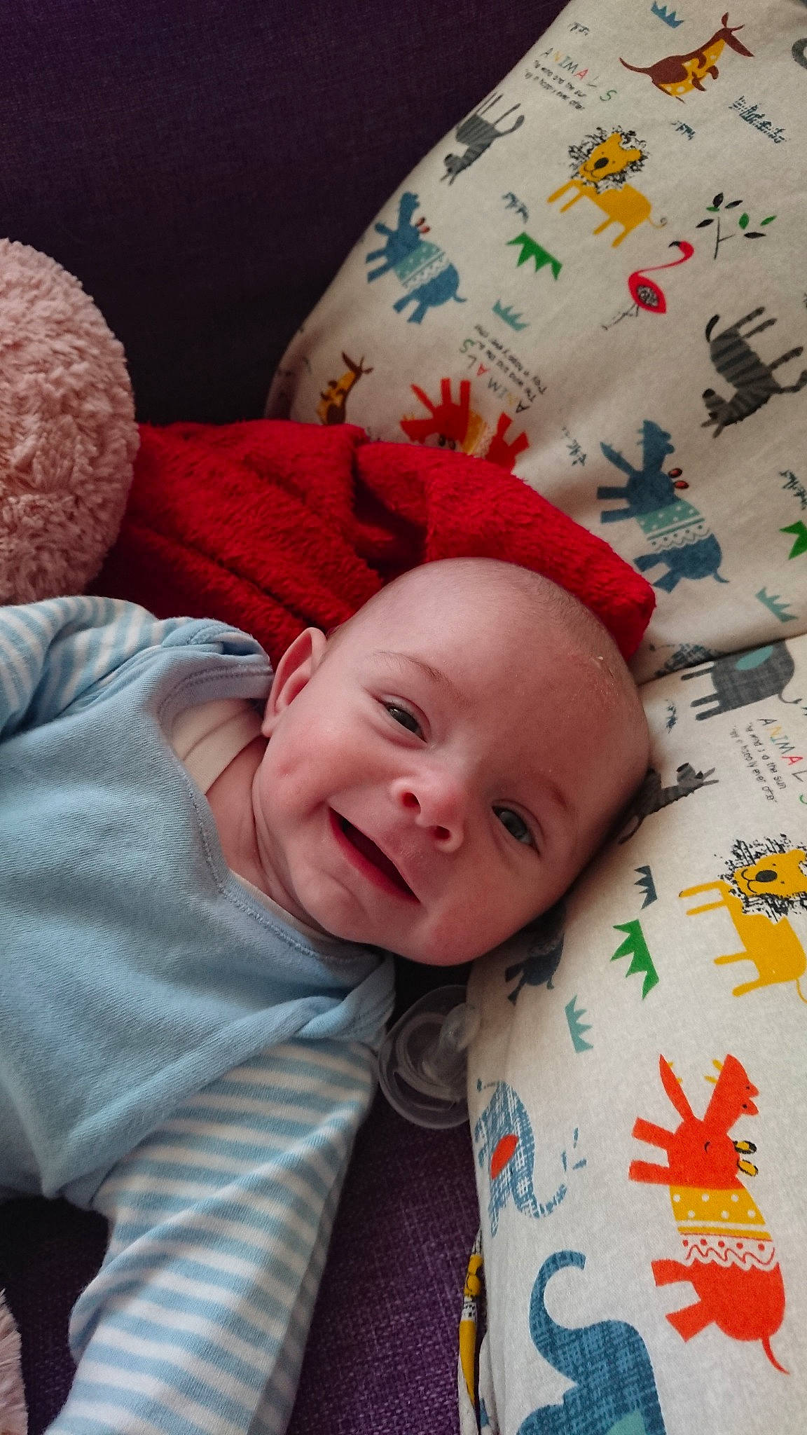 Leonard is registered to the contest to win money with this photo: baby, bedtime, cheek, child, nap, person, skin, sleep, smile, toddler