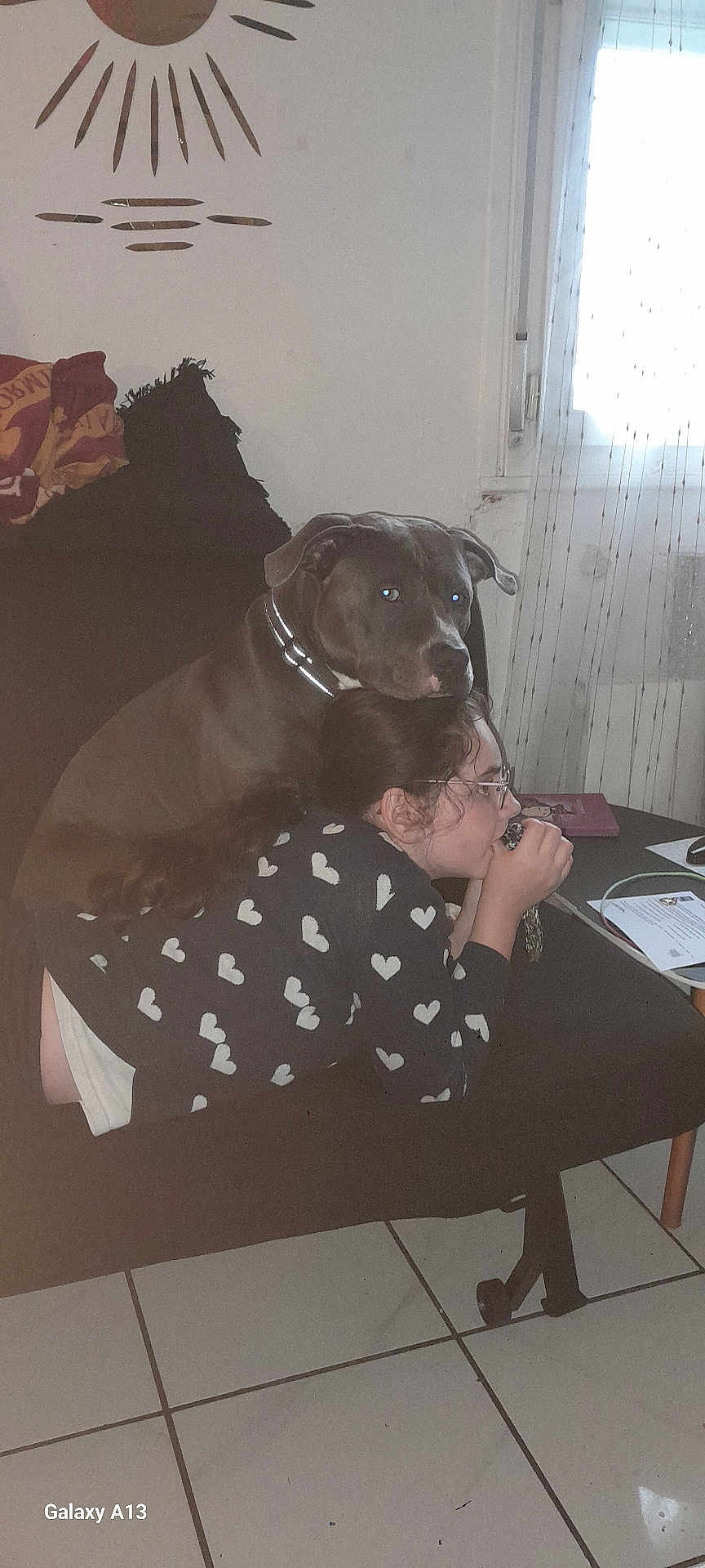 Punch Raucaz participe au concours pour gagner de l'argent avec cette photo : dog, person, indoor, couch, window, curtain, glasses, heart_pattern, tile_floor, table, papers, black_dog, long_hair, casual_clothing, resting, pet, home, relaxing, comfort, furniture