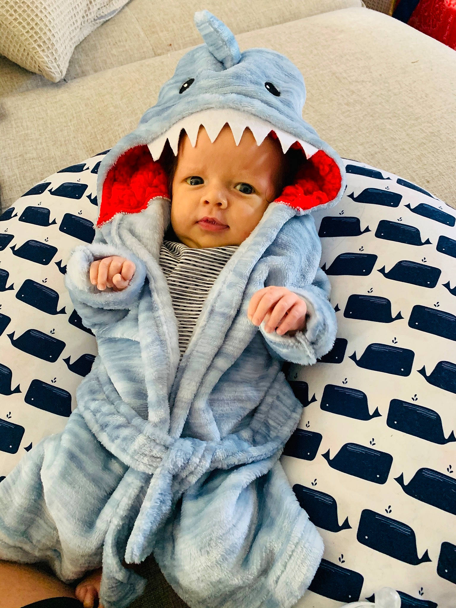 Navy joined the competition — help win amazing prizes! baby, baby_sleeping, bedding, blanket, child, design, fur, headgear, headwear, hood, linens, outerwear, pattern, person, play, textile, toddler, wool