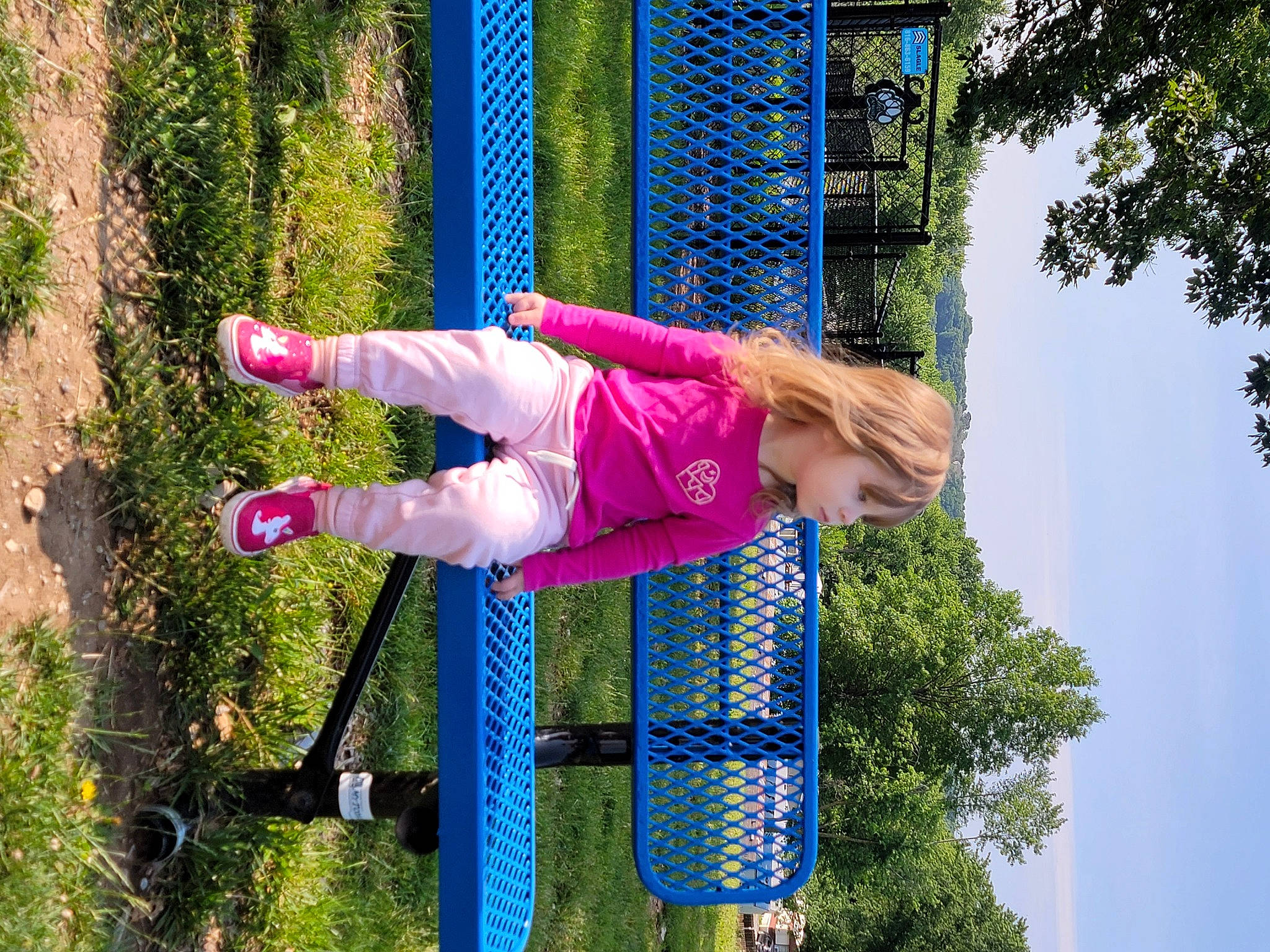 Evelynn is registered to the contest to win money with this photo: child, electric_blue, fun, grass, leisure, magenta, outdoor_play_equipment, people_in_nature, person, plant, playground, recreation, rope, sky, toddler, tree, walking_shoe, woody_plant