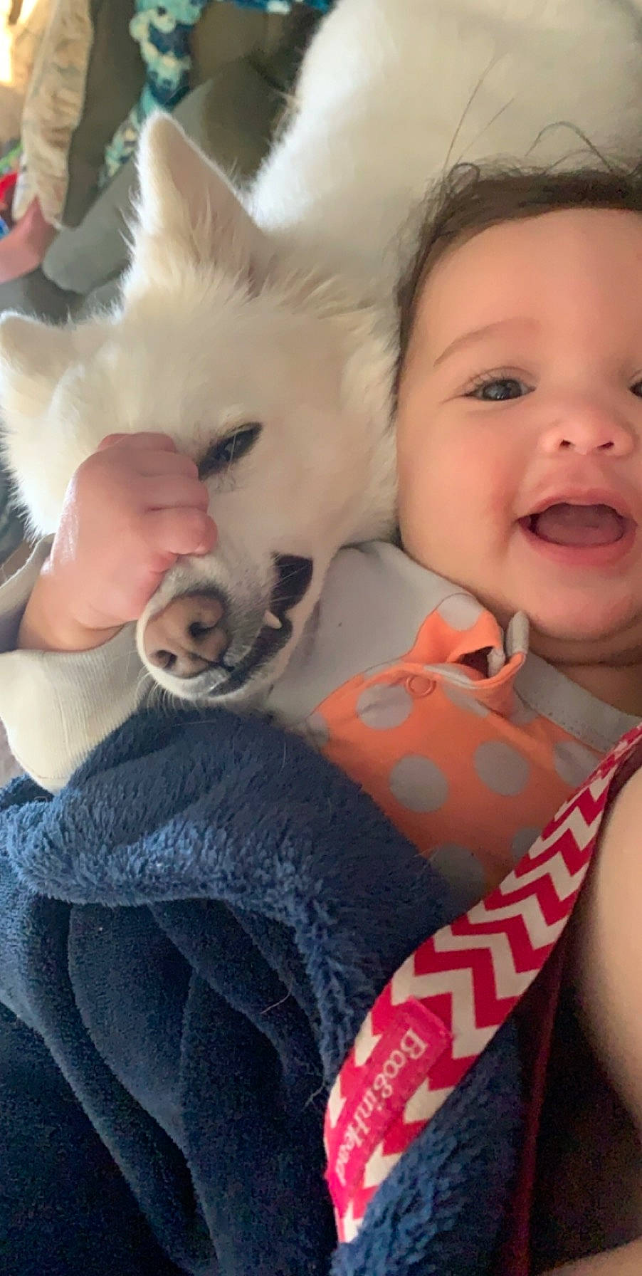 Leyla joined the competition — help win amazing prizes! akita_inu, baby, canidae, carnivore, cheek, child, companion_dog, dog, dog_breed, ear, head, mouth, nose, person, skin, toddler