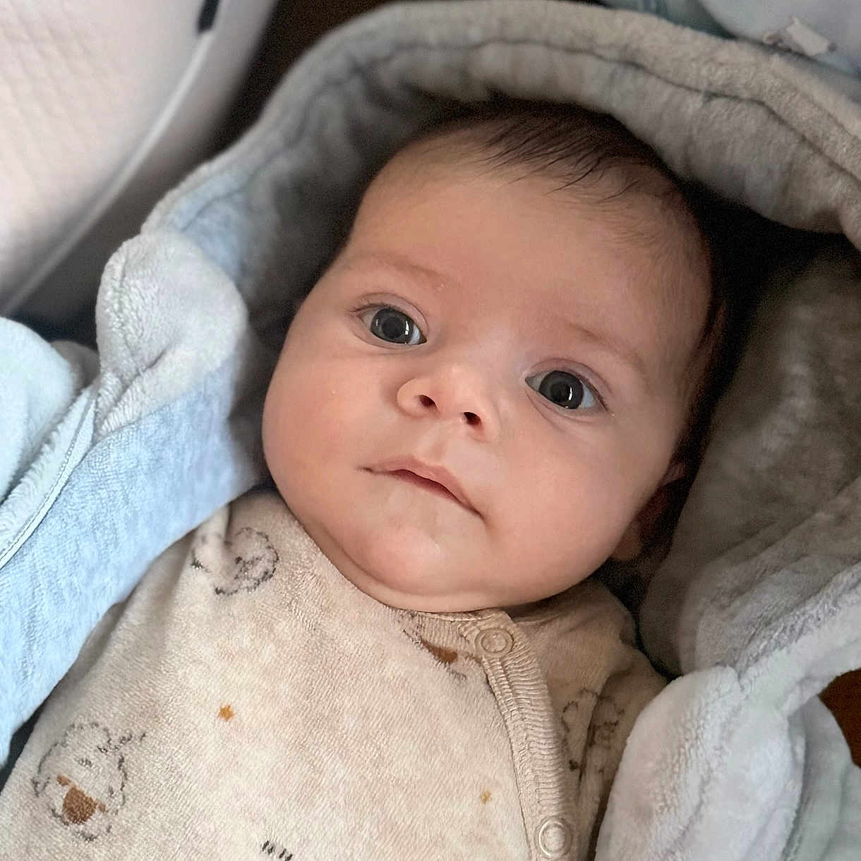 Lio participe au concours pour gagner de l'argent avec cette photo : baby, blanket, calm, child, closeup, clothing, cozy, cute, expression, eyes, face, hood, indoors, infant, newborn, person, portrait, sleepwear, soft, warm