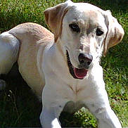 Bailey joined the competition — help win amazing prizes!