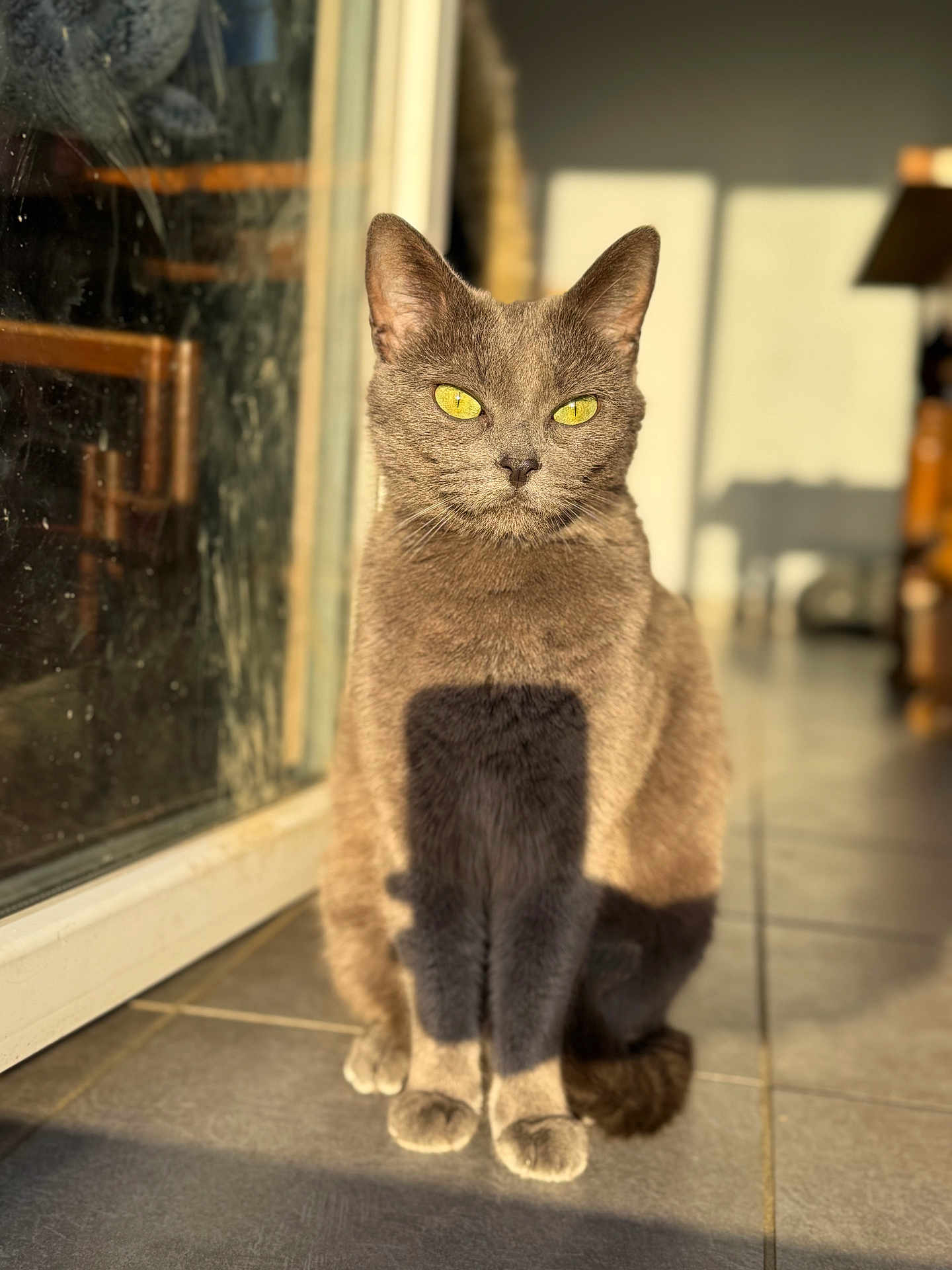 Mystie
