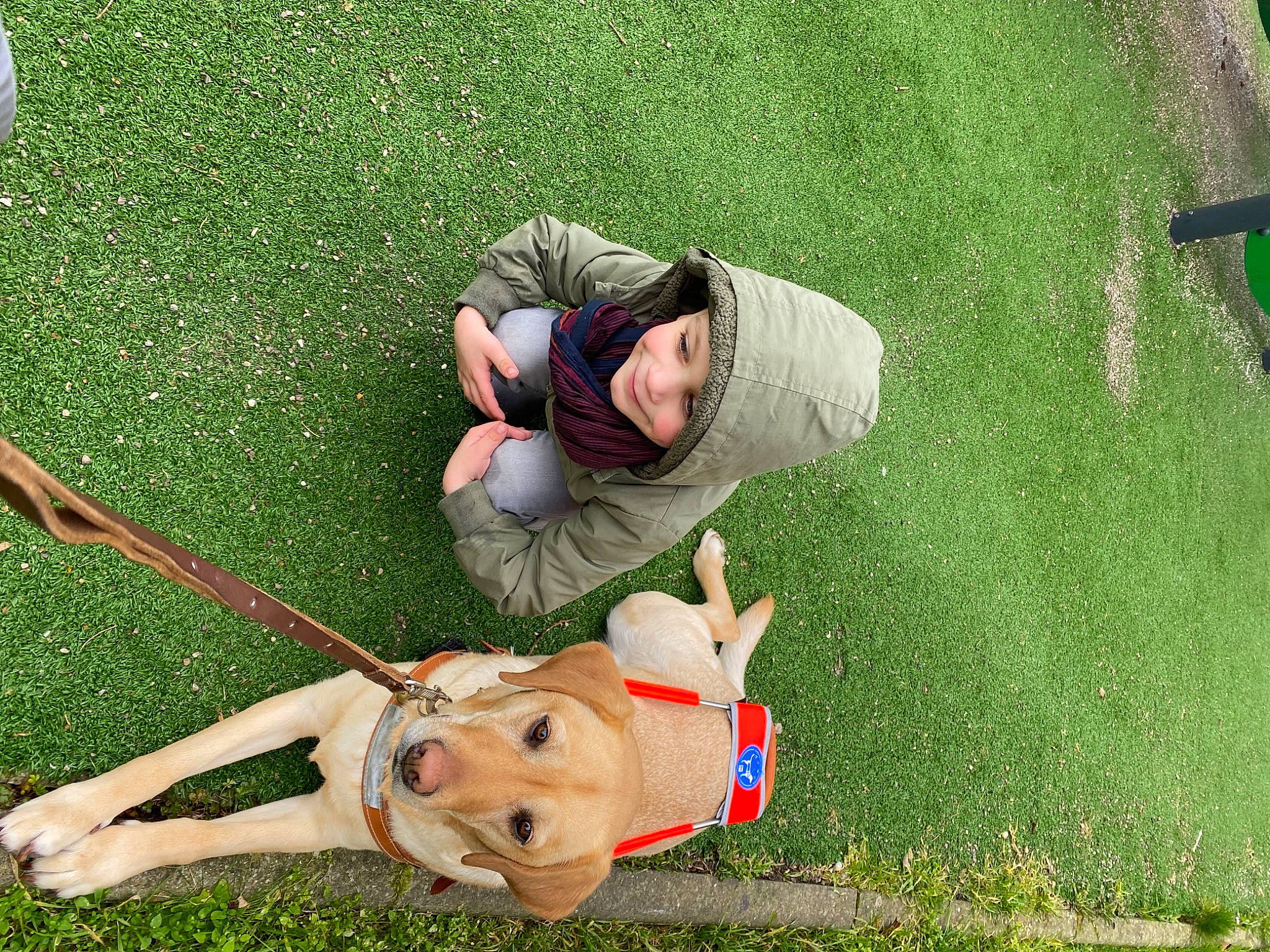 Reinette participe au concours pour gagner de l'argent avec cette photo : baby, child, flooring, fun, garden, grass, grass_family, grassland, happy, lap, lawn, leisure, mammal, people_in_nature, play, recreation, sitting, tree, vertebrate, yard
