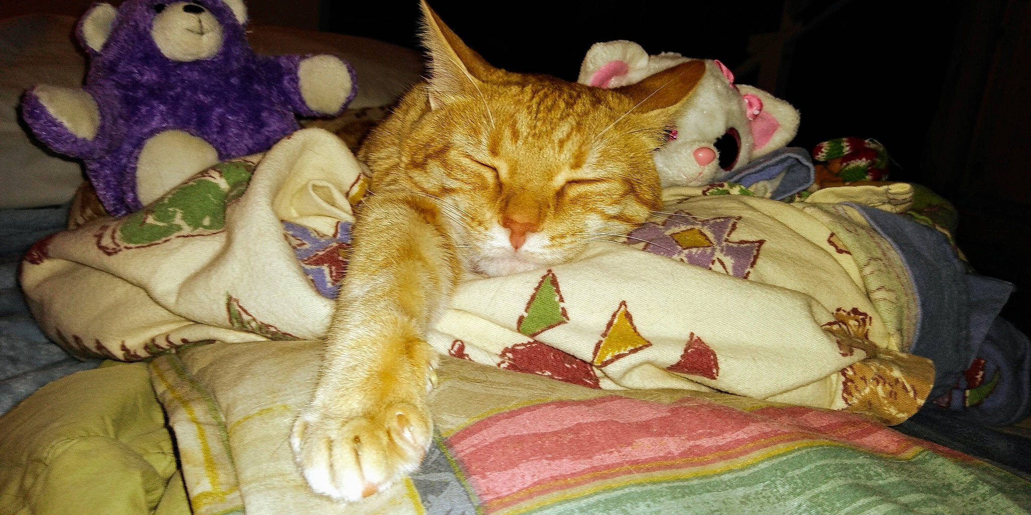 Tiggy joined the competition — help win amazing prizes! bed_sheet, bedding, blanket, carnivore, cat, claw, comfort, domestic_short_haired_cat, fawn, felidae, fur, hat, lap, linens, nap, paw, small_to_medium_sized_cats, snout, tail, whiskers