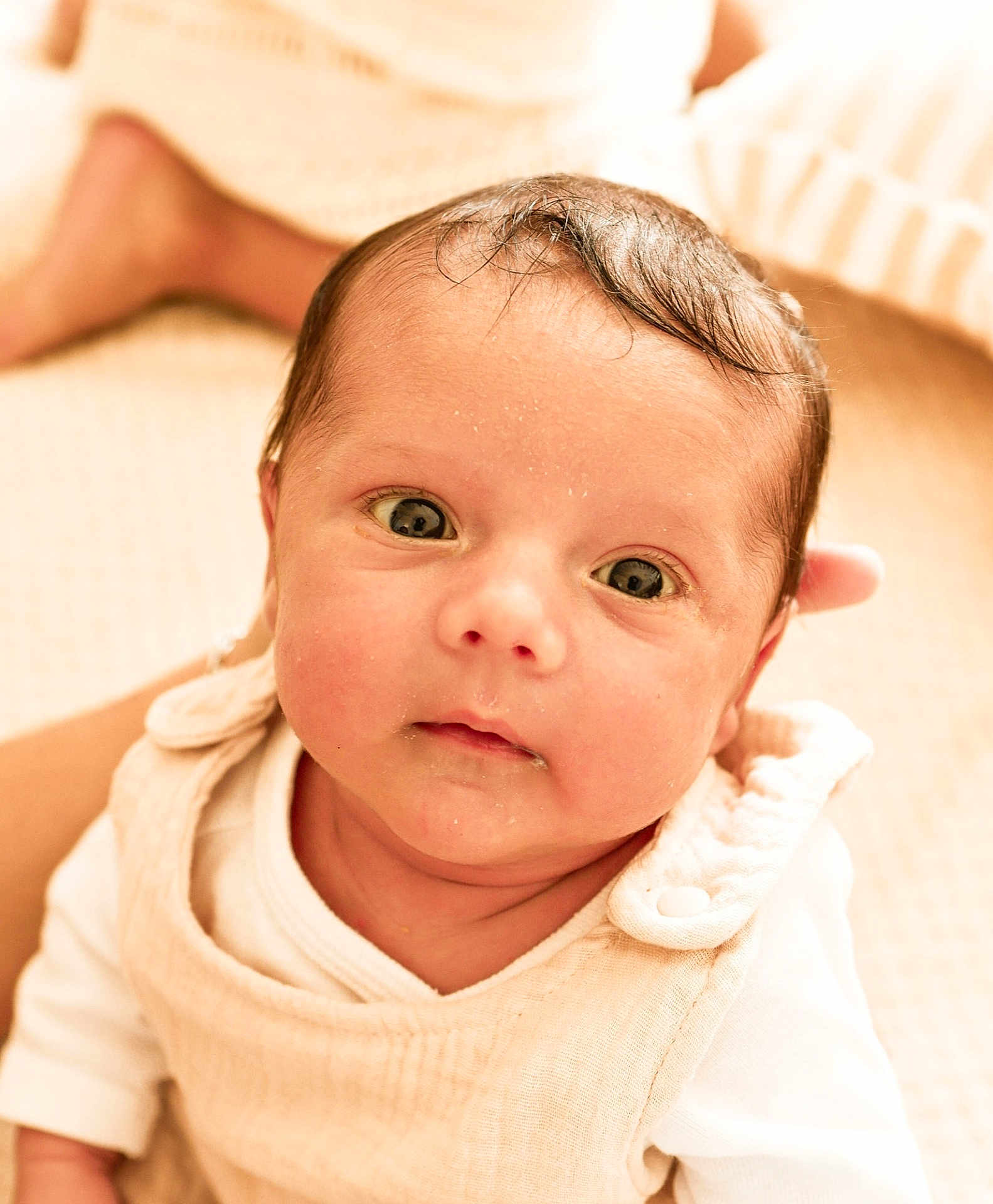 Nuno a rejoint le concours — aidez-le/la à gagner de superbes lots ! baby, background, child, closeup, clothing, cute, expression, eyes, face, head, indoors, infant, looking_up, newborn, person, portrait, sitting, skin, soft_light, warm_colors