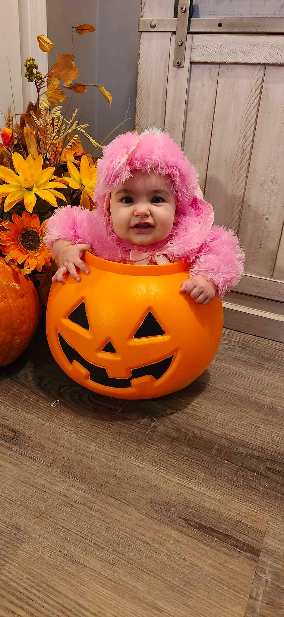 Esmeralda joined the competition — help win amazing prizes! baby_toddler_clothing, calabaza, cucurbita, flower, flowerpot, gourd, grass, happy, headwear, houseplant, human_body, orange, person, plant, pumpkin, smile, squash, toddler, tree, vegetable