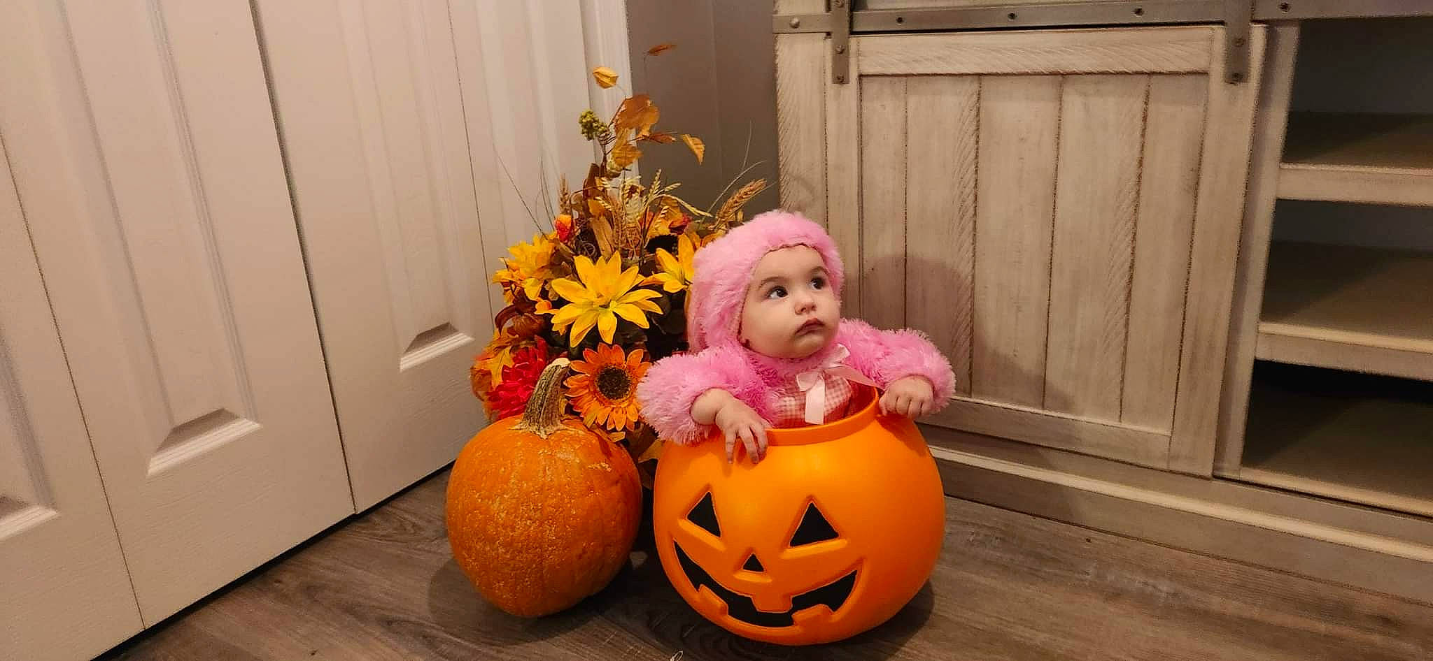 Esmeralda is registered to the contest to win money with this photo: art, calabaza, cucurbita, door, event, flooring, flower, flower_arranging, gourd, headwear, jack_o_lantern, natural_foods, orange, person, plant, pumpkin, squash, toy, trick_or_treat, vegetable