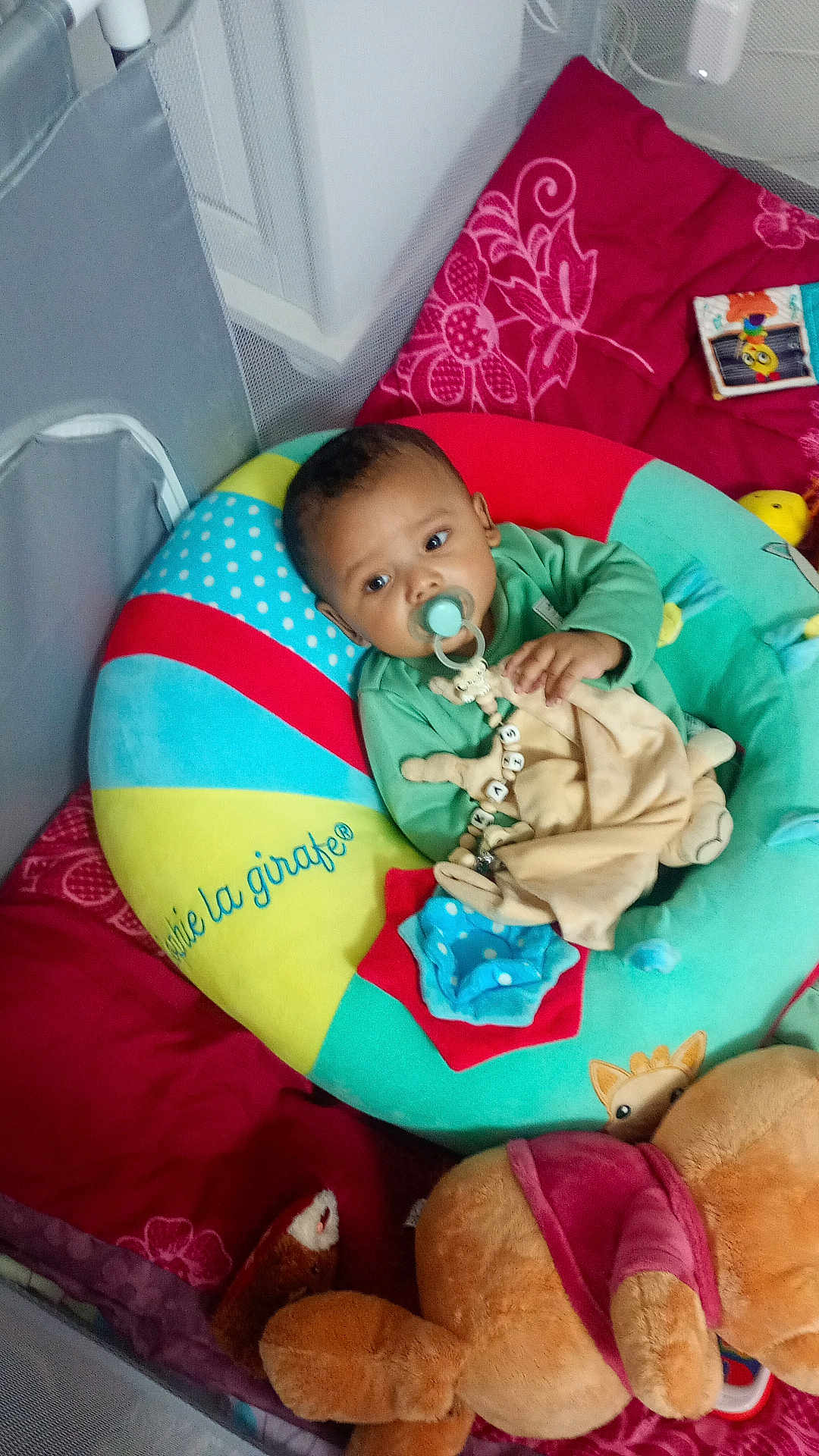 Kaïs participe au concours pour gagner de l'argent avec cette photo : baby, pacifier, cushion, toy, plush, red_blanket, child, indoor, comfort, sleeping_area, soft_toys, colorful, green_clothing, infant, resting, cute, cozy, nursery, playtime, relaxation