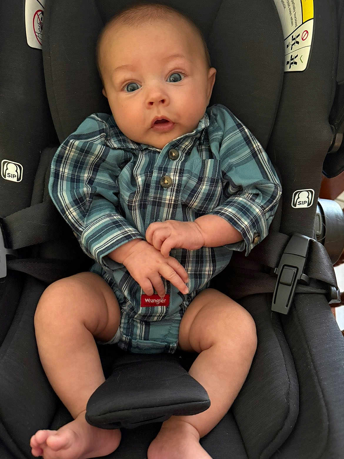 Briggs is registered to the contest to win money with this photo: baby, infant, car_seat, plaid_clothing, onesie, child, face, hands, legs, feet, blue_eyes, expression, seatbelt, indoor, cute, young_child, person, casual_clothing, sitting, child_seat