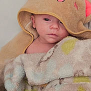Caden is registered to the contest to win money with this photo: baby, child, blanket, hood, bear, soft, cute, face, portrait, indoor, sleepy, warm, cozy, fur, toddler, expression, comfort, closeup, eyelids, wrapped