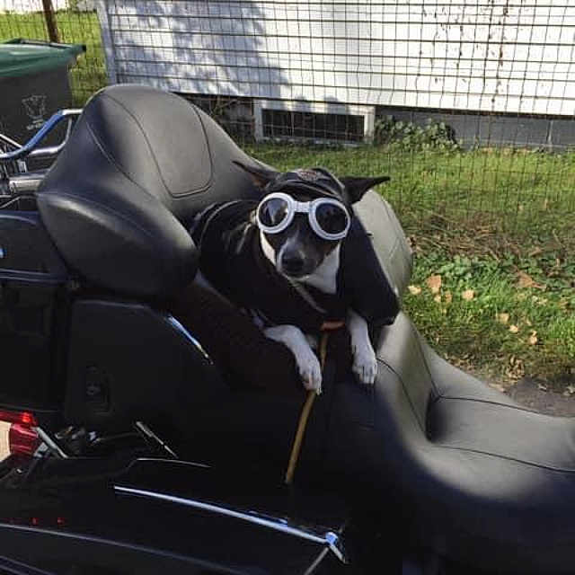 Jack Sparrowjack Sparrow