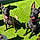 Bentley And Monty