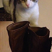 Missy is registered to the contest to win money with this photo: