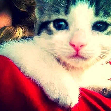 Tyga joined the competition — help win amazing prizes!