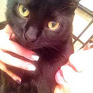 Bambus joined the competition — help win amazing prizes!