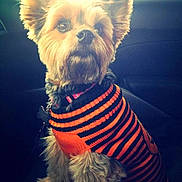 Mlady joined the competition — help win amazing prizes!