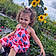Velenia