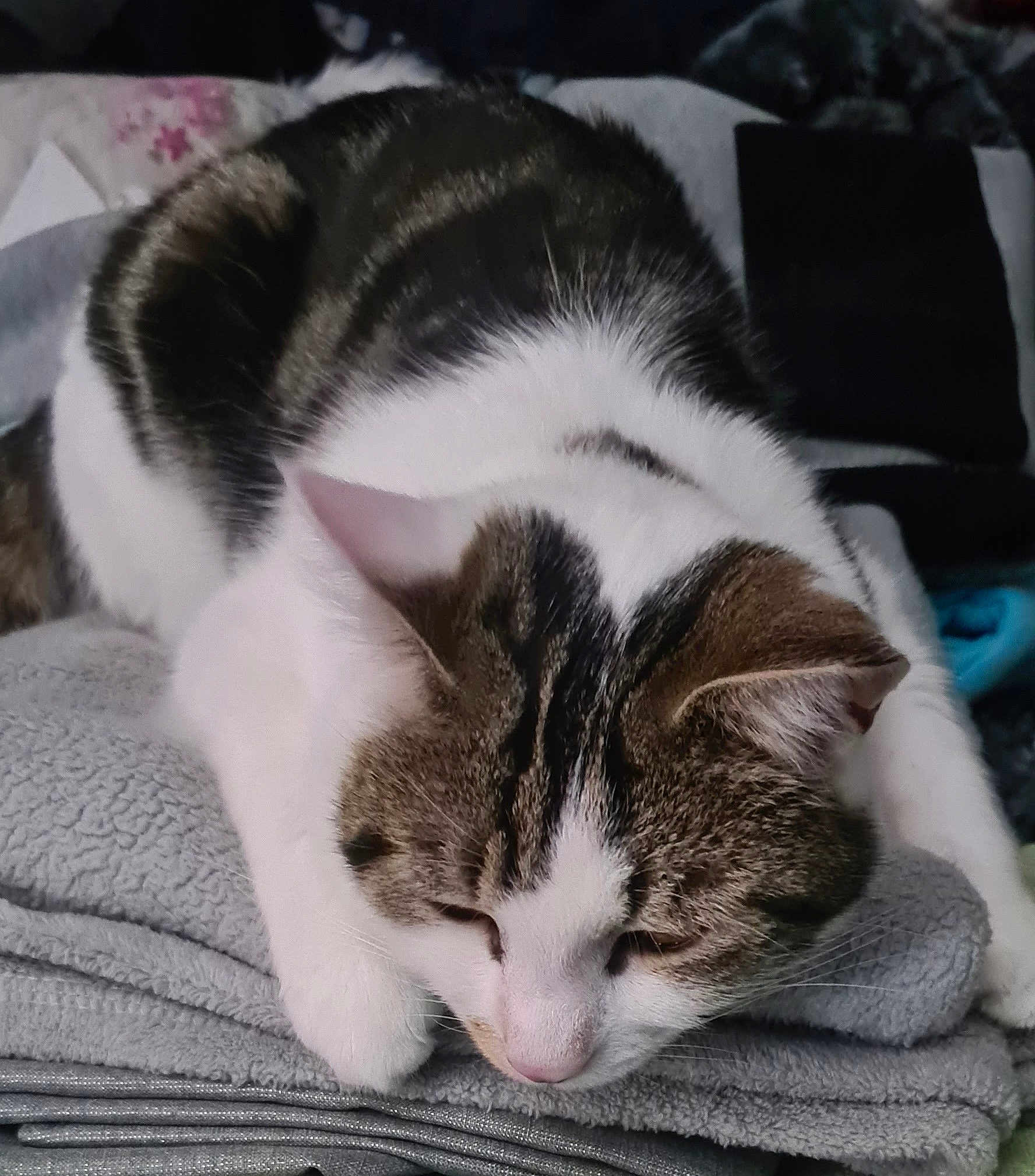 Odin