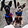Blue And Rue