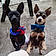 Blue And Rue