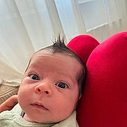 Aydèn participe au concours pour gagner de l'argent avec cette photo : baby, infant, face, hair, mohawk, curious, red_cushion, indoor, window, curtains, soft_light, person, closeup, expression, newborn, skin, eyes, clothing, hand, resting