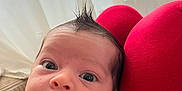 Aydèn participe au concours pour gagner de l'argent avec cette photo : baby, closeup, clothing, curious, curtains, expression, eyes, face, hair, hand, indoor, infant, mohawk, newborn, person, red_cushion, resting, skin, soft_light, window