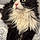 Kitty Marie