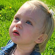 Emy participe au concours pour gagner de l'argent avec cette photo : child, toddler, denim_jacket, blonde_hair, blue_eyes, outdoor, grass, dandelions, greenery, sunlight, nature, portrait, casual_clothing, hair_clip, cute, curious, young_child, daylight, face, looking_up