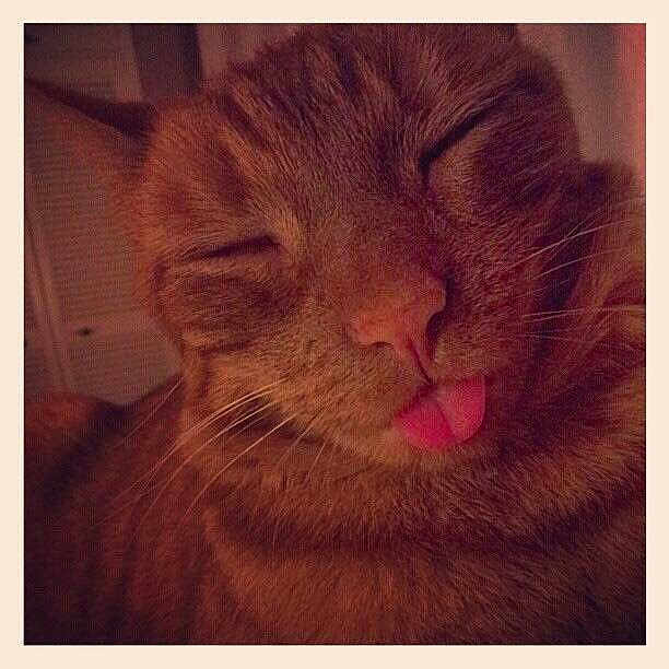 Dexter