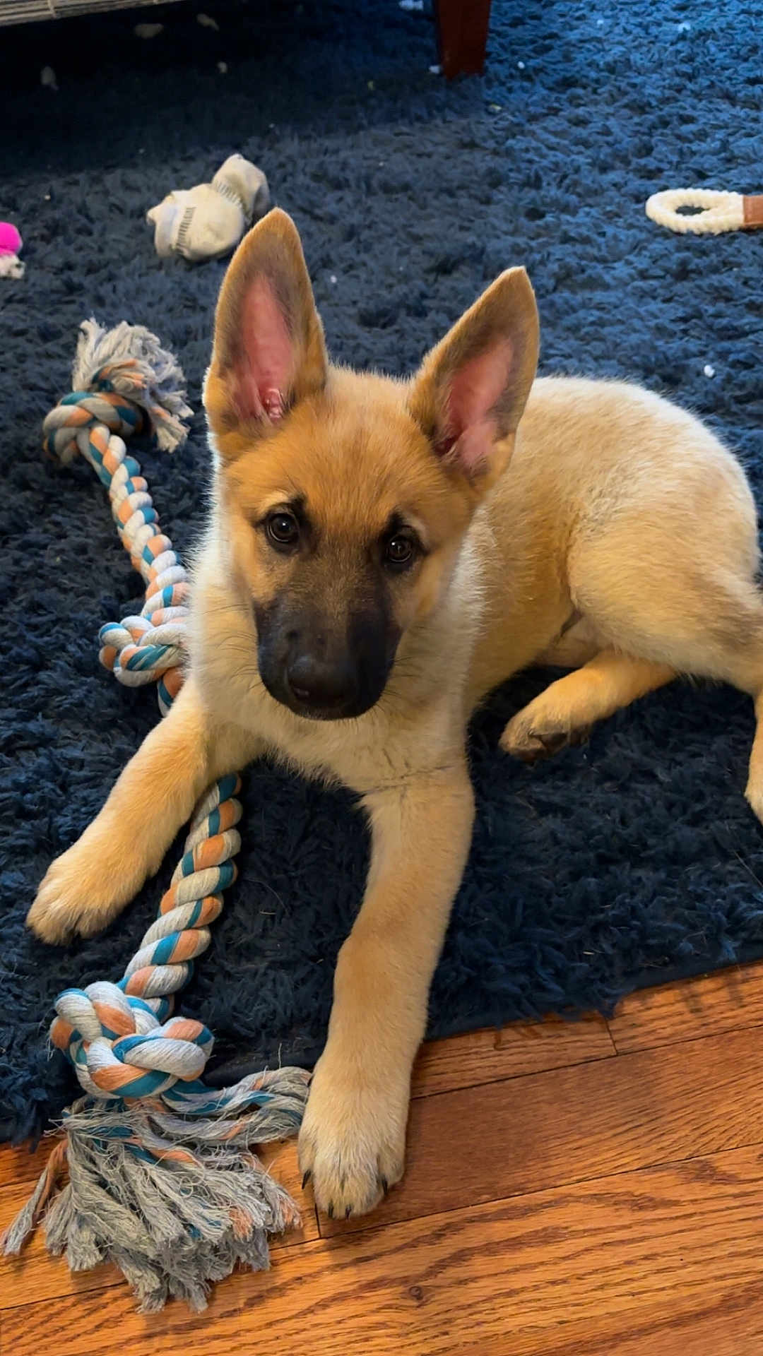 Kaiser