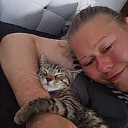 Nala joined the competition — help win amazing prizes! person, kitten, cat, sleeping, arm, bed, headboard, closeup, cuddle, indoor, resting, comfort, striped_cat, human_face, relaxation, pet, feline, cozy, affection, casual