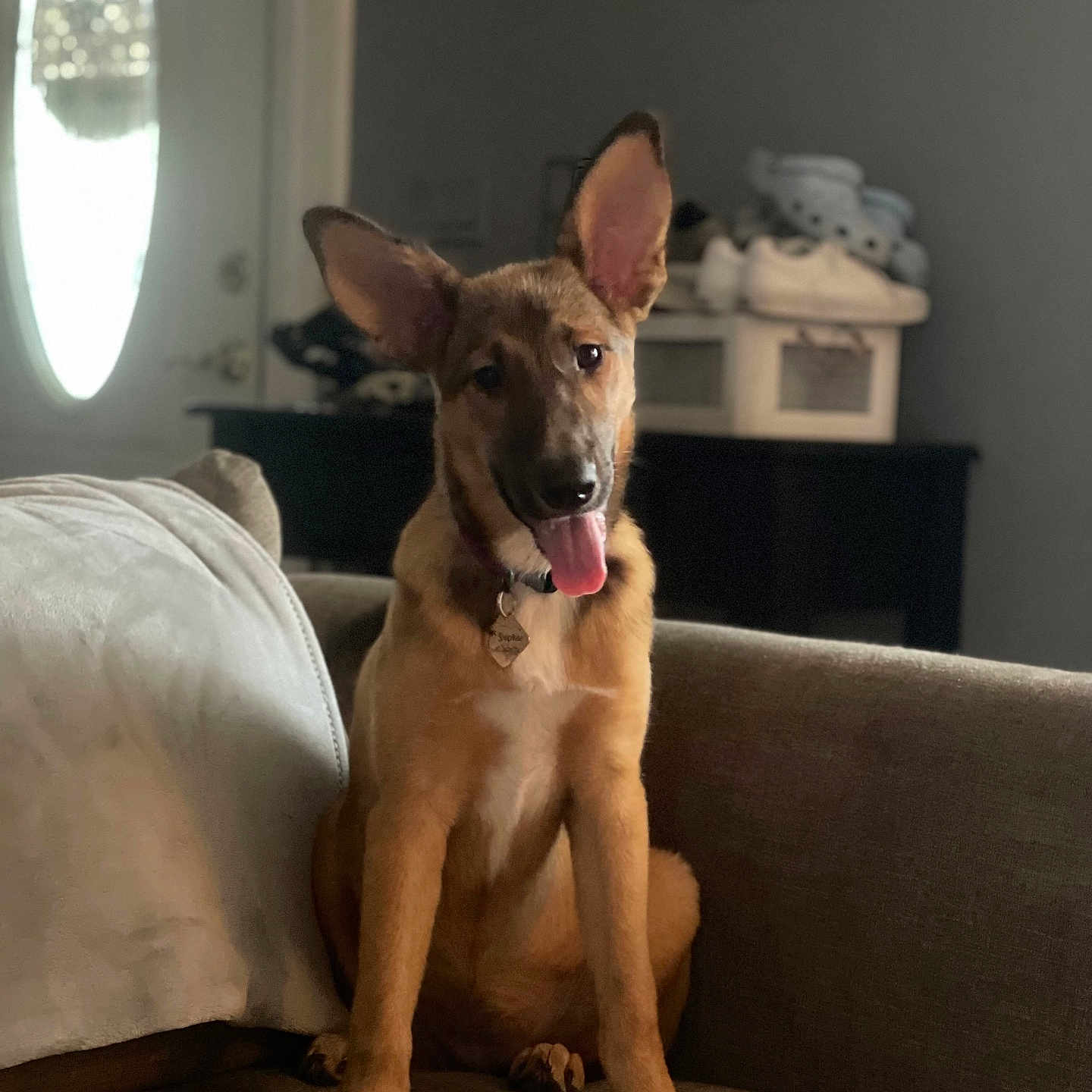 Sophie