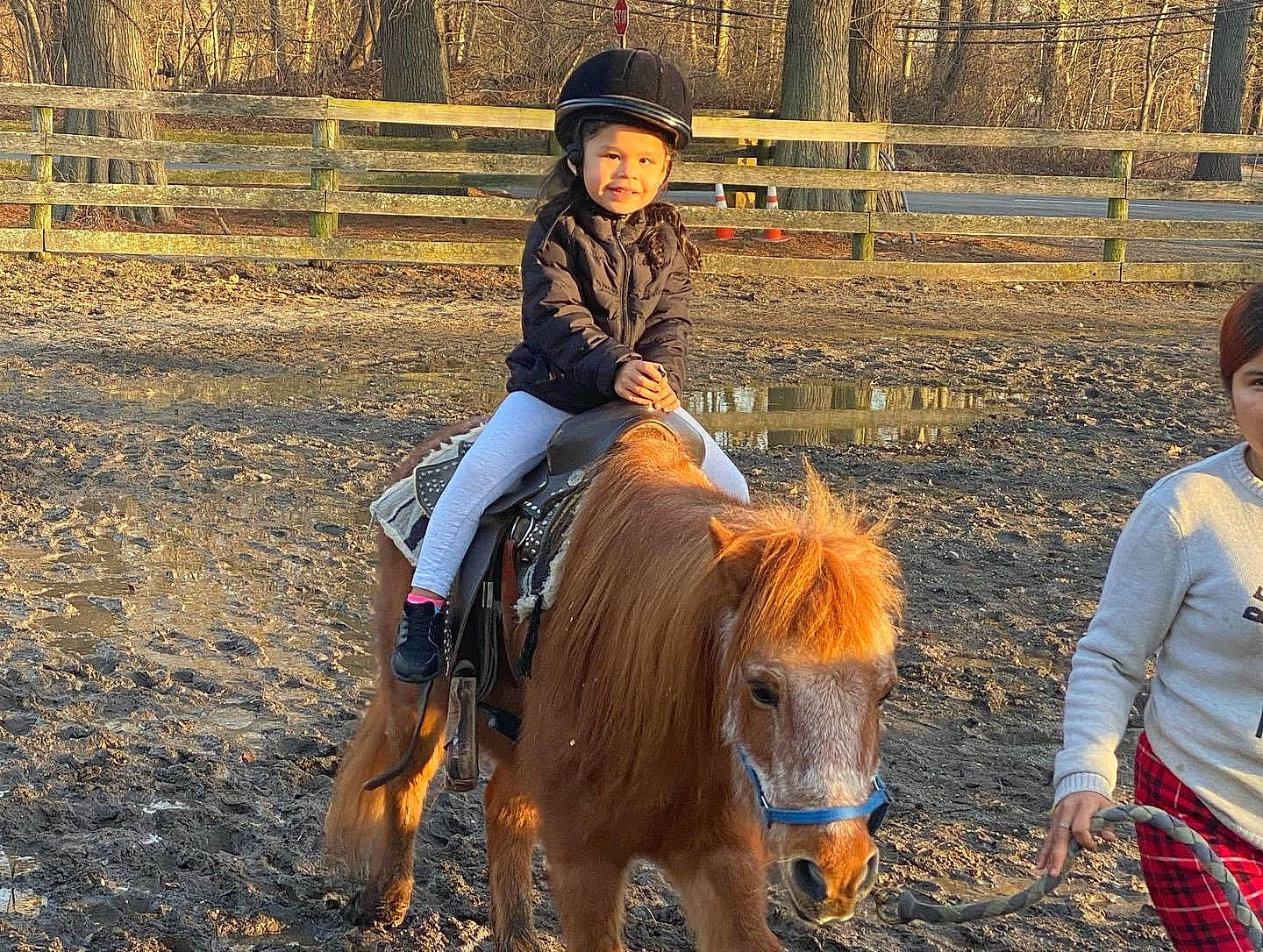 Leliani joined the competition — help win amazing prizes! bit, blurred, bridle, clothing, equestrian_helmet, equestrian_sport, equestrianism, halter, headwear, horse, horse_supplies, horse_tack, landscape, outdoor_recreation, person, plant, recreation, rein, rural_area, saddle