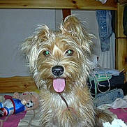 Tessy participe au concours pour gagner de l'argent avec cette photo :