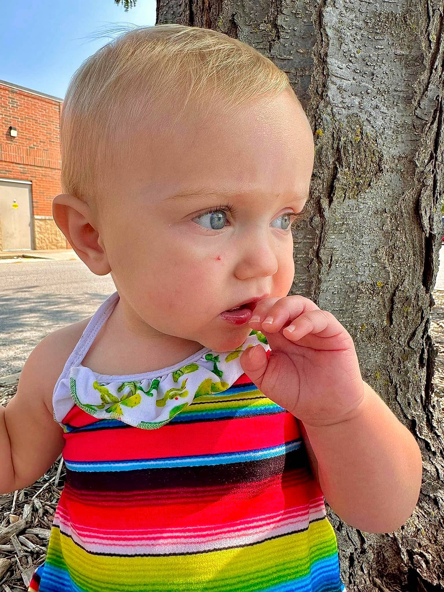 Lauryn is registered to the contest to win money with this photo: arm, baby, baby_toddler_clothing, cheek, child, chin, facial_expression, grass, hairstyle, happy, head, lip, neck, nose, organ, people_in_nature, person, photograph, skin, summer