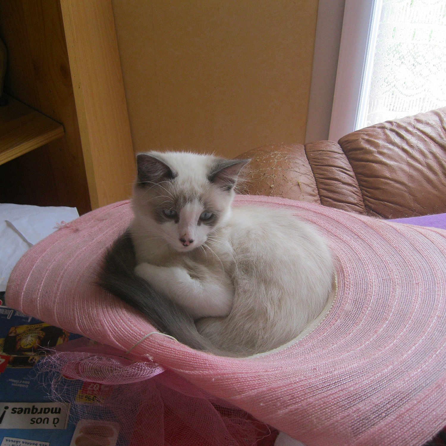 Oliver