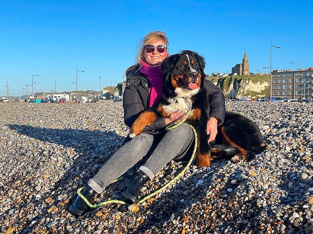 Aston a rejoint le concours — aidez-le/la à gagner de superbes lots ! carnivore, companion_dog, dog, dog_breed, eyewear, fawn, friendship, fun, goggles, happy, landscape, leisure, people_in_nature, rock, sitting, sky, soil, sporting_group, sunglasses, travel