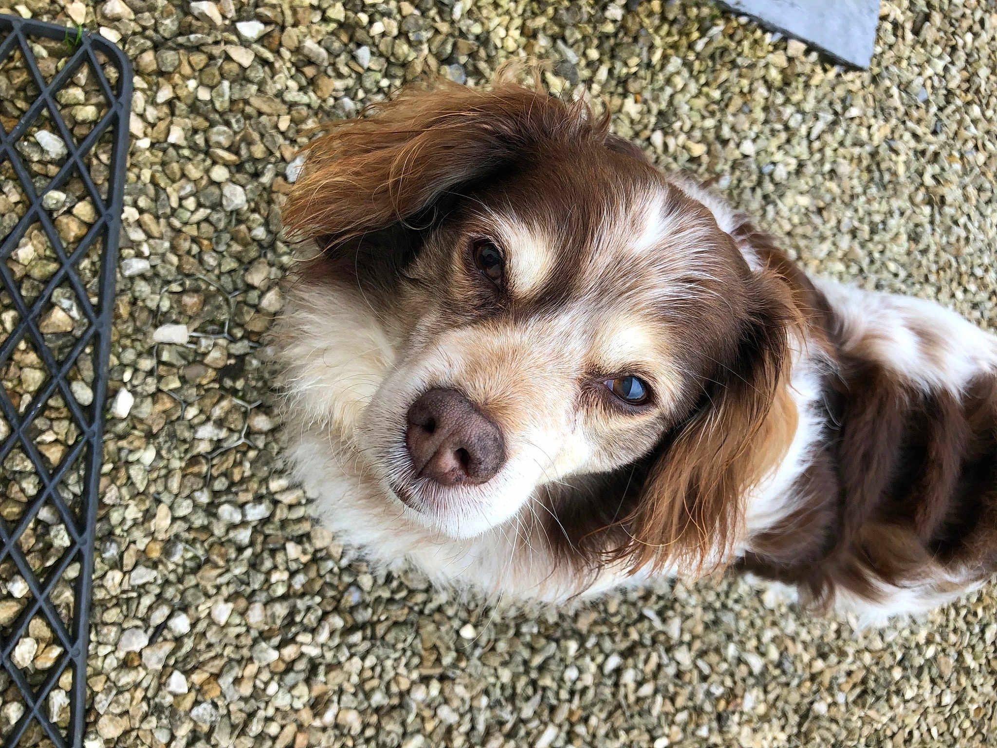 Charly