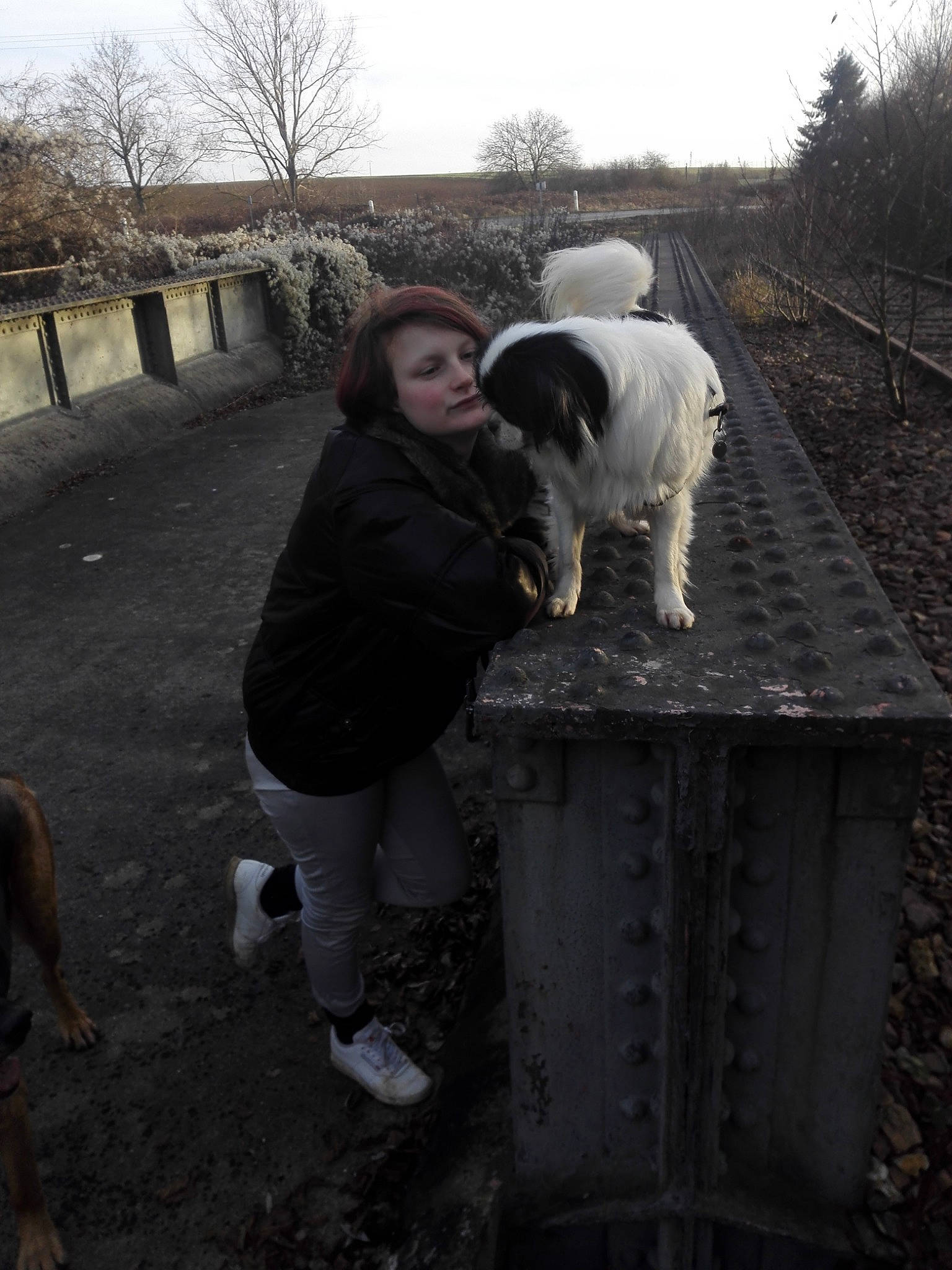 Hidalgo a rejoint le concours — aidez-le/la à gagner de superbes lots ! dog, dog_breed_group, dog_like_mammal, fun, girl, goat, goats, livestock, mammal, person, snout, tree, vertebrate