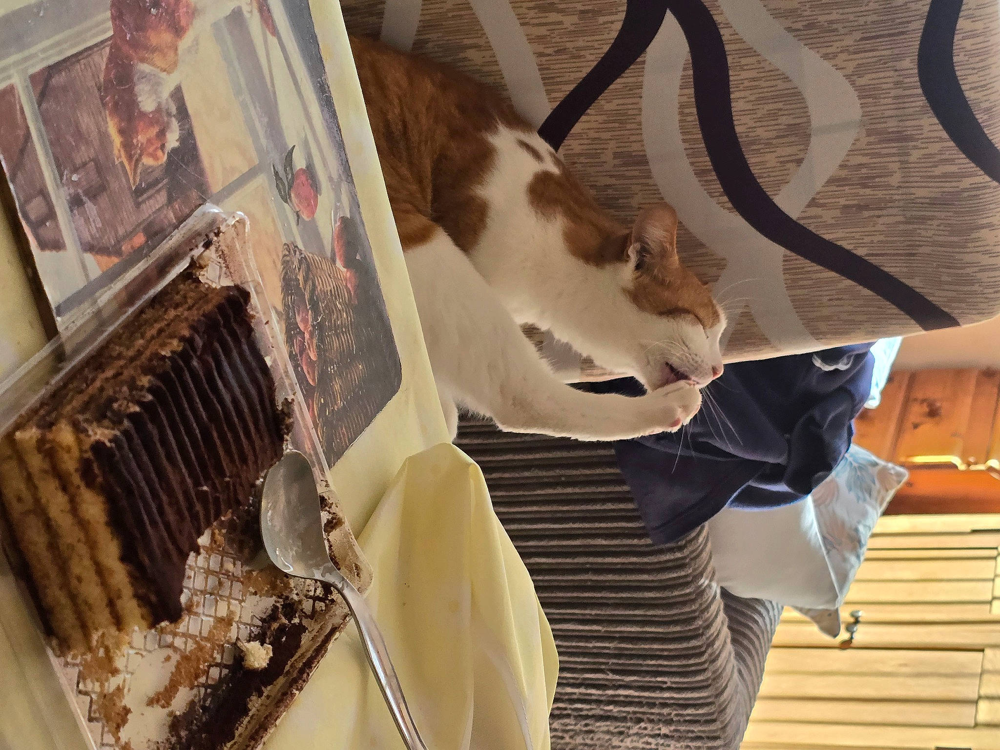 Sandy joined the competition — help win amazing prizes! bag, beauty, carnivore, cat, domestic_short_haired_cat, eyewear, fashion_accessory, fashion_design, fawn, felidae, fur, hat, pattern, room, small_to_medium_sized_cats, tail, textile, visual_arts, whiskers, wood