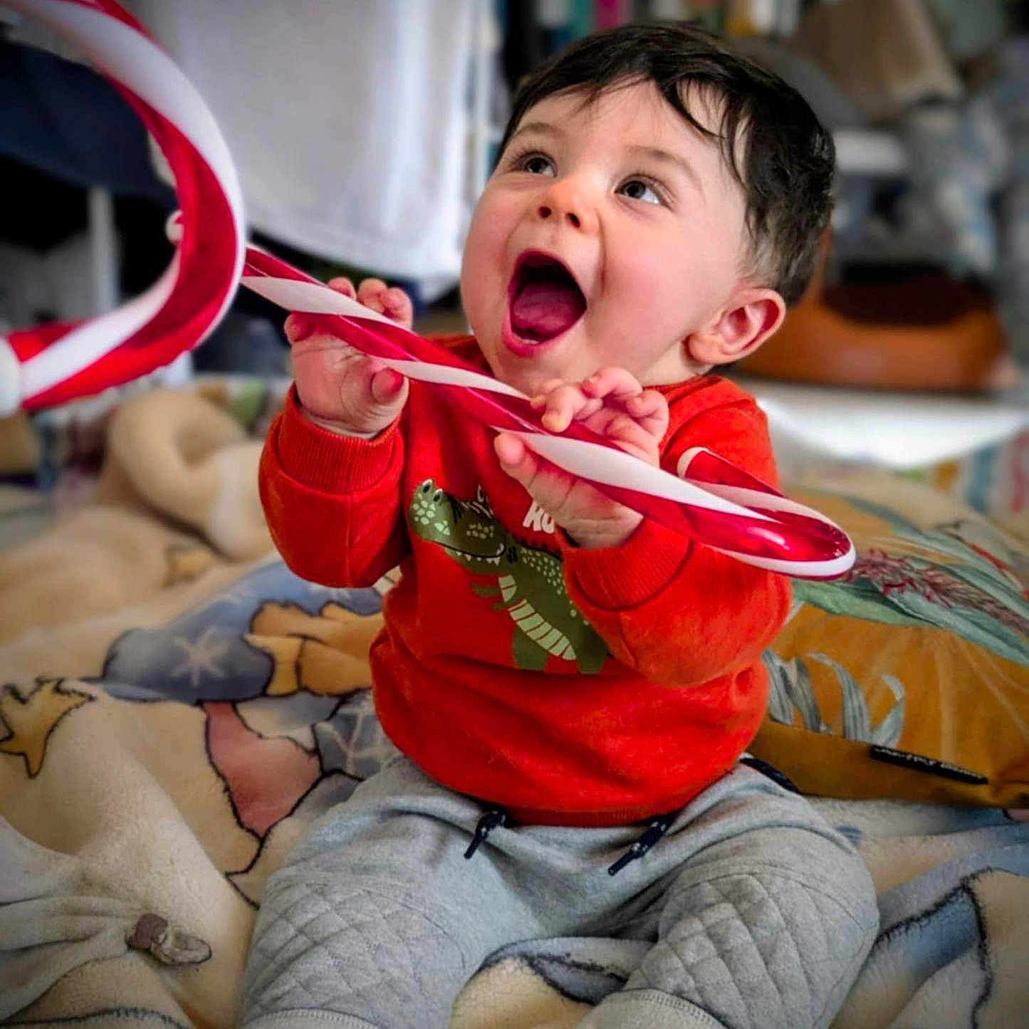 Djeïck participe au concours pour gagner de l'argent avec cette photo : baby, blanket, candy_cane, child, closeup, comfort, cozy, cute, dinosaur_print, excited, feet, hands, happy, indoors, orange_sweater, playful, portrait, sitting, smiling, young_child