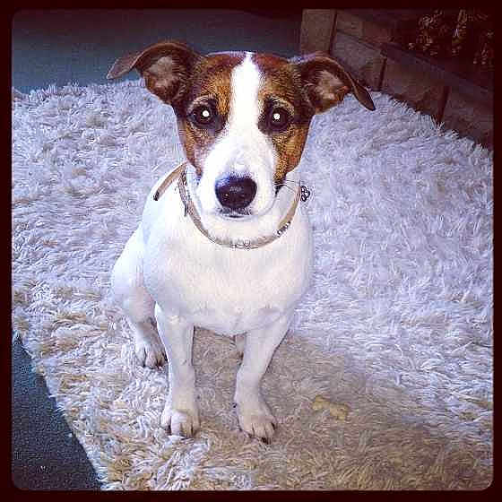 Bonnie