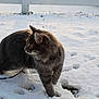 Happy participe au concours pour gagner de l'argent avec cette photo :