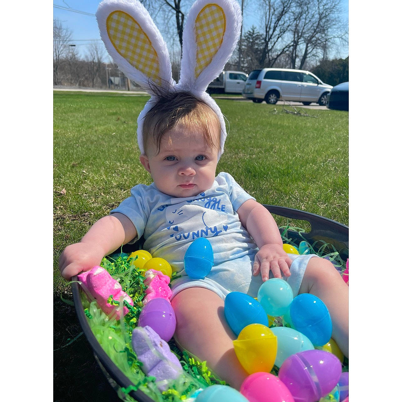 Draven joined the competition — help win amazing prizes! baby, baby_toddler_clothing, beauty, child, design, easter, fawn, fun, grass, happy, leisure, people_in_nature, person, pink, plant, rabbit, rabbits_and_hares, sitting, toddler, tree