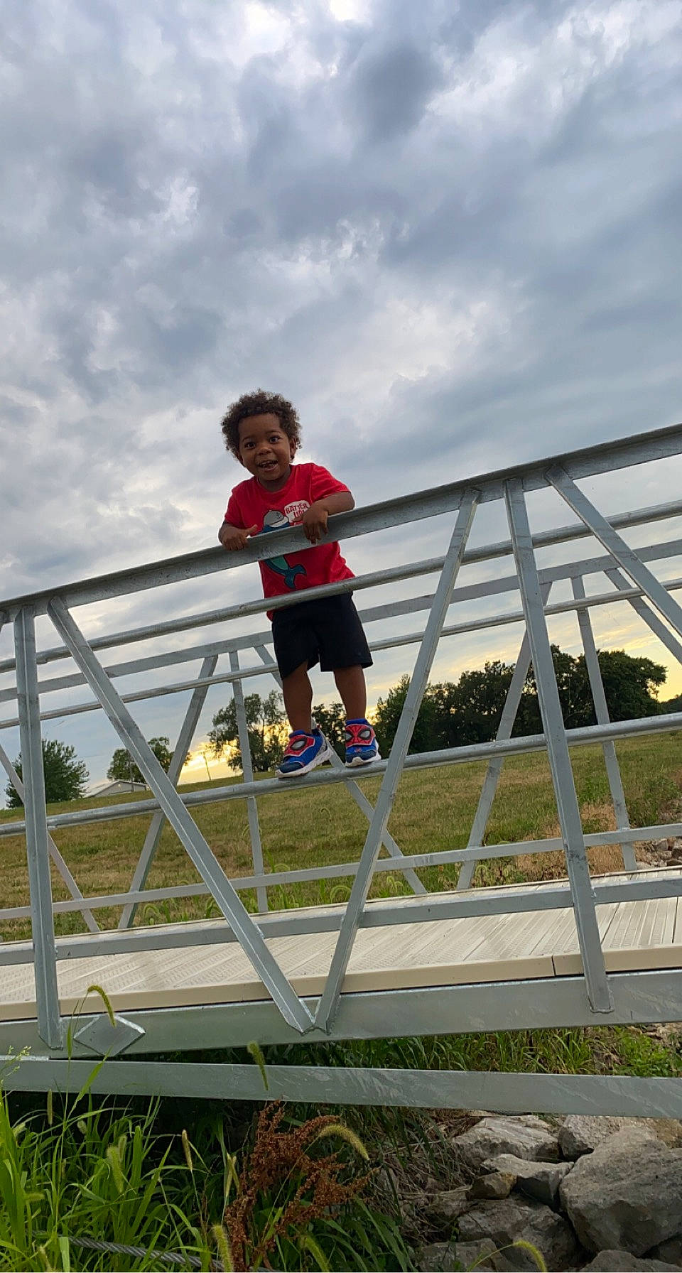 Dante is registered to the contest to win money with this photo: bridge, cloud, daylighting, fun, handrail, leisure, person, plant, pole, recreation, sky, t_shirt, toddler, tourism, tree