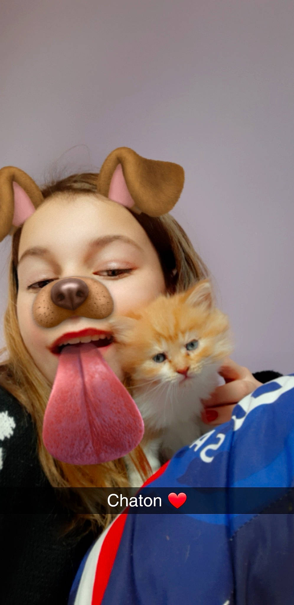 Gasper participe au concours pour gagner de l'argent avec cette photo : carnivoran, cat, cat_like_mammal, ear, girl, kitten, person, product, skin, small_to_medium_sized_cats, smile, snout, vertebrate, whiskers