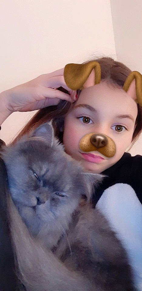 Eclaire participe au concours pour gagner de l'argent avec cette photo : carnivoran, cat, cat_like_mammal, child, ear, eye, fur, girl, infant, kitten, mammal, person, purple, skin, small_to_medium_sized_cats, vertebrate, whiskers